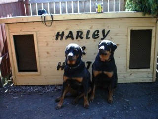 Hunter and Harley - Canada